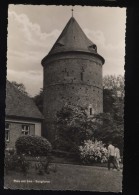 PLAU Burgturm - Plau