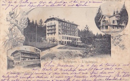 VD27  --  BALLAIGUES    --GRAND  HOTEL  L `AUBEPINE  --  CHALET DES FRENES, CHALET DES SAPINS   --   1901 - Ballaigues