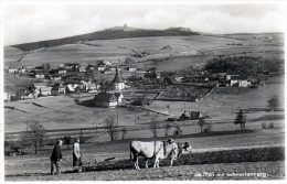 AK  Seiffen Im Erzgebirge, Gel. 1938 - Seiffen