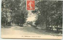 DEP 51 ESTERNAY AVENUE DU PAQUIT - Esternay