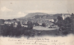 VD95  --  AUBONNE ET SIGNAL DE BOUGY  --  1908 - Aubonne