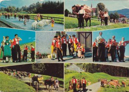 APPENZELLER ABFAHRT - Appenzell