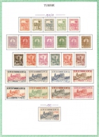TUNISIE.   .1926 / 28.   .Y&T N° 120 à 146* MLH..  Sur Feuille D'album. - Unused Stamps