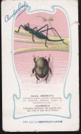 CPA - (Animaux) Chocolat Louit - Insectes - Saga Serrata Et Saprinus (défauts) - Insects