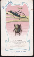 CPA - (Animaux) Chocolat Louit - Insectes - Saga Serrata Et Saprinus (défauts) - Insetti