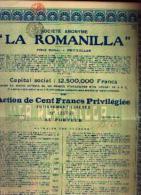 BRUXELLES « SA La Romanilla » - Action De 100 Fr Privilégiée - Capital : 12.500.000 Fr - Pétrole
