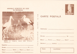 STORK, POSTCARD STATIONERY, UNUSED,1977,ROMANIA - Cigognes & échassiers