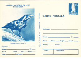 RAVENS,POSTCARD STATIONERY, UNUSED,1977,ROMANIA - Climbing Birds