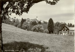 Trogen - Blick Unterhalb Des Dorfes           Ca. 1950 - Trogen