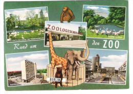 Germany - Berlin - Zoologischer Garten - Zoo - Tierpark - Charlottenburg