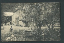 Vieuxville. Ferme De Palogne. Pêcheur, Animation... - Ferrieres