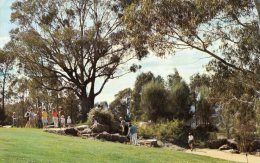 Canberra Botanic Gardens, ACT - Posted 1972 - Canberra (ACT)