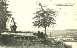 Champtoceaux.la Promenade Du Coteau à Champtoceaux. - Champtoceaux