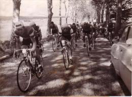 P 687 - Tour De France 1953 -  13 Em étape  - Marseille - Alés- Adriaenssens Conduisant L´échappée - Cycling