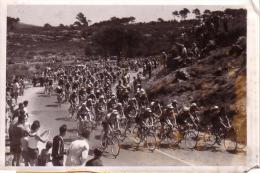 P 691 - Tour De France 1953 - Le Tour Sur La Cote D'Azur Au Col Du Camp - Cycling