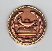 Belle Medaille: Prix Litteraire, Chritian Vidal, 1998, Lampe D´ Aladin, Livres, Graveur Cebrier ? (13-2460) - Firma's
