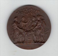 Belle Medaille: Chambre Syndicale Des Banques Populaires De France, XXè Anniversaire 1929-1949, Graveur F. Depaulis - Professionals / Firms