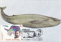 BLU WHALE (Balaenoptera Musculus), THE BEST ANIMALS,CM,MAXICARD,UNUSED,PERFECT SHAPE,ROMANIA - Baleines