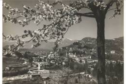 TARCENTO -  Panorama - Udine