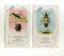 - FRANCE . LOT DE 2 CPA CHOCOLAT LOUIT SUR LES INSECTES . - Insectos