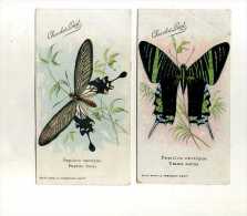 - FRANCE . LOT DE 2 CPA CHOCOLAT LOUIT SUR LES PAPILLONS . - Papillons