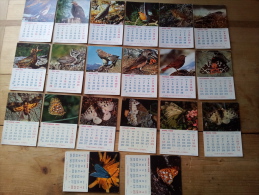 Lot De 20 Calendriers Mensuels Pub EVIAN, Theme Oiseaux Sur 2 Années - Tamaño Pequeño : 1961-70