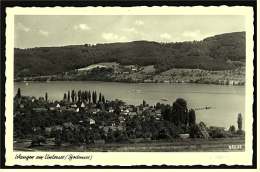 Wangen A. Untersee / Bodensee  -  Ansichtskarte Ca.1956    (2113) - Radolfzell