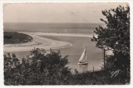 Delcampe - - 14 - DIVES-CABOURG. - La Plage. - - Dives