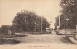 ( CPA 94 )  PLESSIS-TRÉVISE  /  Avenue De Liège  - - Le Plessis Trevise