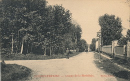 ( CPA 94 )  PLESSIS-TRÉVISE  /  Avenue De La Maréchale  - - Le Plessis Trevise