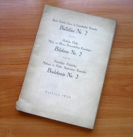 Baltic States Maternal And Child Committee Bulletin 1930 - Libros Antiguos Y De Colección