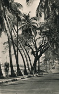 AFRIQUE - GUINÉE - CONAKRY - La Corniche - Guinea