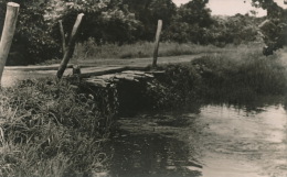 AFRIQUE - GUINÉE - CONAKRY - Pont De Brousse - Guinée