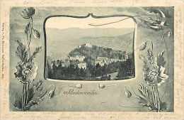 Août13 251 : Badenweiler  -  Panorama - Badenweiler