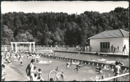 39 CLAIRVAUX LES LACS - La Piscine - Clairvaux Les Lacs