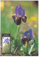Belgium Belgique Belgie 1980 Iris Flower Flowers Flora Canceled In Gent Maximum Card - 1971-1980