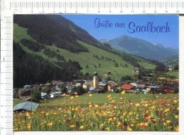 GRUSSE  Aus   SAALBACH - Saalbach