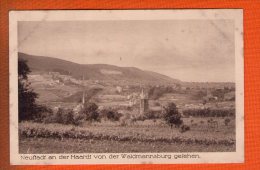 1 Cpa NEUSTADT An Der Haardt Von Der Waldmannsburg Gefehen - Neustadt (Weinstr.)