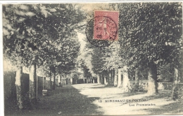 86 - Mirebeau : Les Promenades - Mirebeau