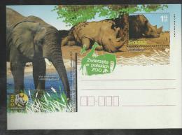 EP ** MNH  Pologne Rhinocéros  36 éléphant Elefante Elefant - Rhinozerosse