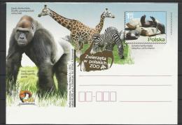 EP ** MNH  Pologne 85  Girafe Jirafa Giraffe Otarie Gorille Zèbre - Giraffes