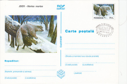 MARTEN, PC STATIONERY, ENTIERE POSTAUX, OBLIT FDC, 1997, ROMANIA - Nager