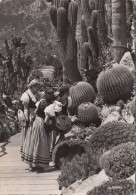 N9718 Plantes Wexotioques Et Costumes Monegasques Monaco     2 Scans - Exotischer Garten