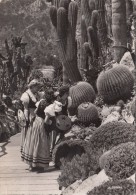 N9718 Plantes Wexotioques Et Costumes Monegasques Monaco     2 Scans - Giardino Esotico