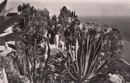 N9789 Monaco Le Rocher Vu Des Jardins Exotiques   2 Scans - Multi-vues, Vues Panoramiques