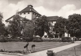 N8487 Nordhausen Theater    2 Scans - Nordhausen