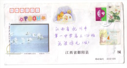 Swan Bird Paradise,China 2005 Poyanghu Lake Landscape Series Advertising Postal Stationery Envelope - Swans