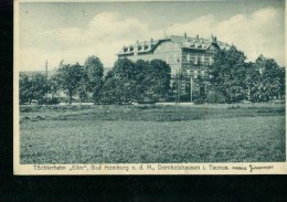 Dornholzhausen Ts. Töchterheim Elim Bad Homburg V.d.H. 16.5.1929 - Bad Homburg