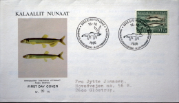 Greenland 1986  FISH   MiNr.168  FDC ( Lot Ks) - FDC