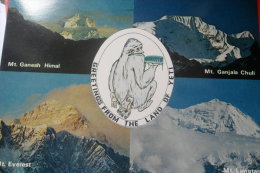 Yeti Everest - Népal